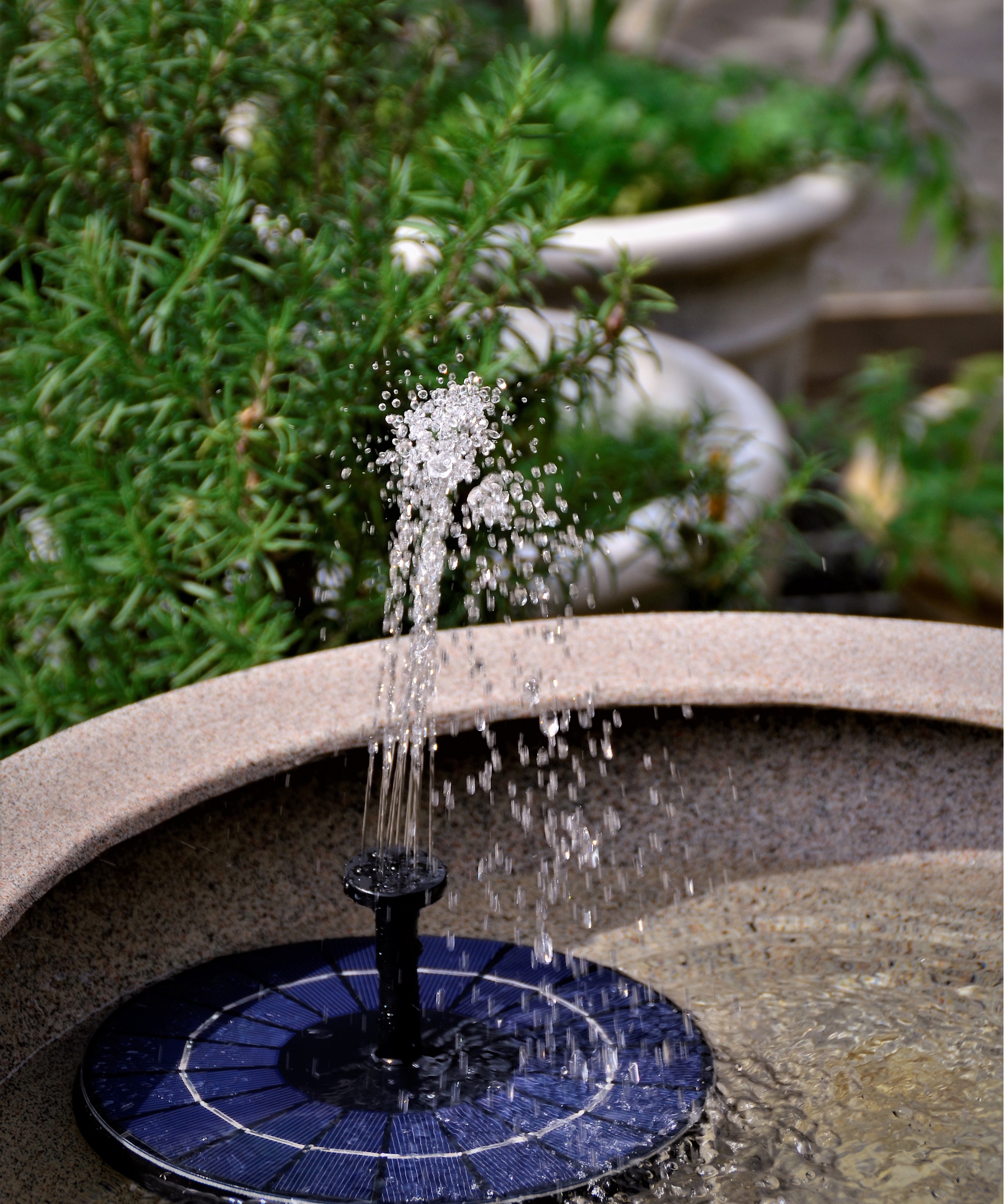 Solar fountain in a bird bath