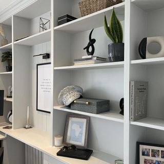 white wall with white shelving unit and plant book frames on it