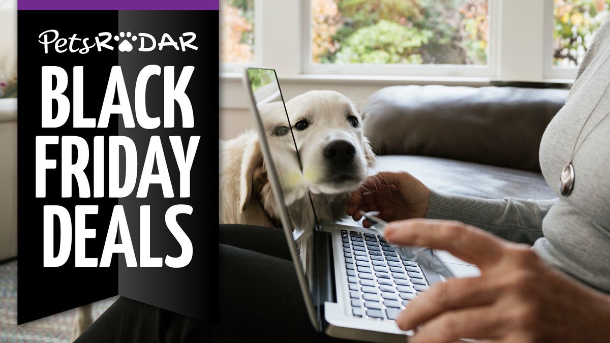 Black Friday deals on pet supplies at Amazon PetsRadar