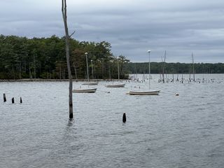 iPhone 13 Pro max review