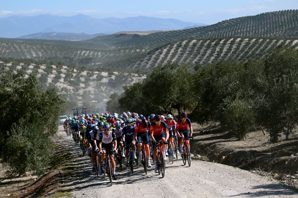 BAEZA SPAIN FEBRUARY 13 General view of Alessandro Covi of Italy and UAE Team Emirates Jose Joaquin Rojas of Spain and Movistar Team Ben Turner of The United Kingdom Kim Heiduk of Germany and Team INEOS Grenadiers and the peloton as it passes through a landscape of olive groves during the 2nd Clasica Jaen Paraiso Interior 2023 a 1789km one day race from beda to Baeza 752m ClsicaJan23 on February 13 2023 in Baeza Spain Photo by Dario BelingheriGetty Images