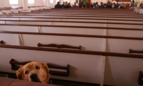 In the event the Rapture leaves Christians&amp;#039; pets untended, entrepreneurial atheists are ready to assist with post-apocalypse pet care.