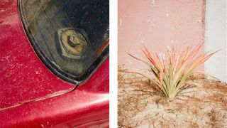 Art of Seeing - diptych shot in Mexico