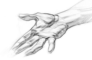 How to draw hands: muscles
