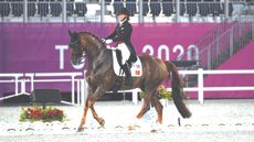 Bohemian has been sold to the US, and plans have now been unveiled for the gelding to be cloned