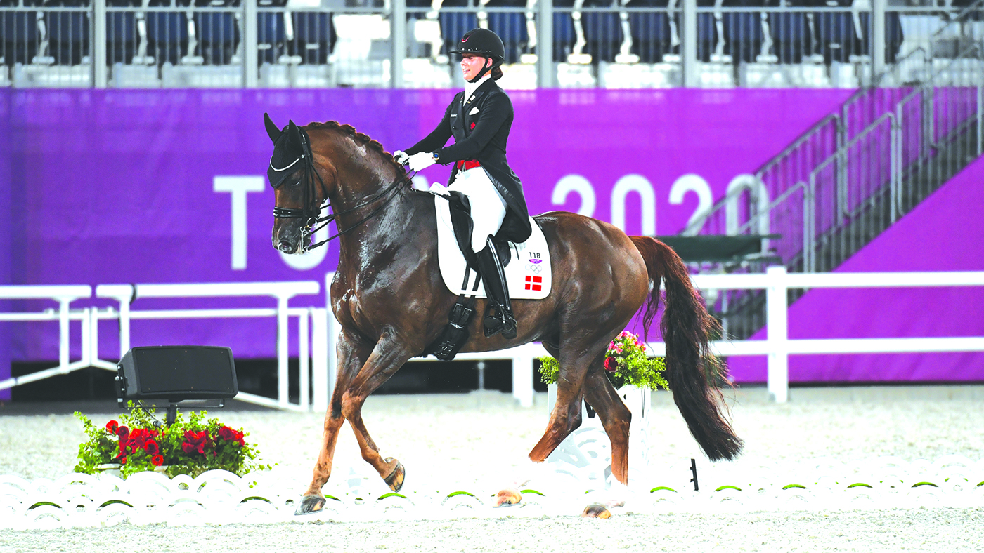 Bohemian has been sold to the US, and plans have now been unveiled for the gelding to be cloned