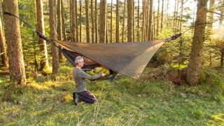 Man setting up a hammock in the woods
