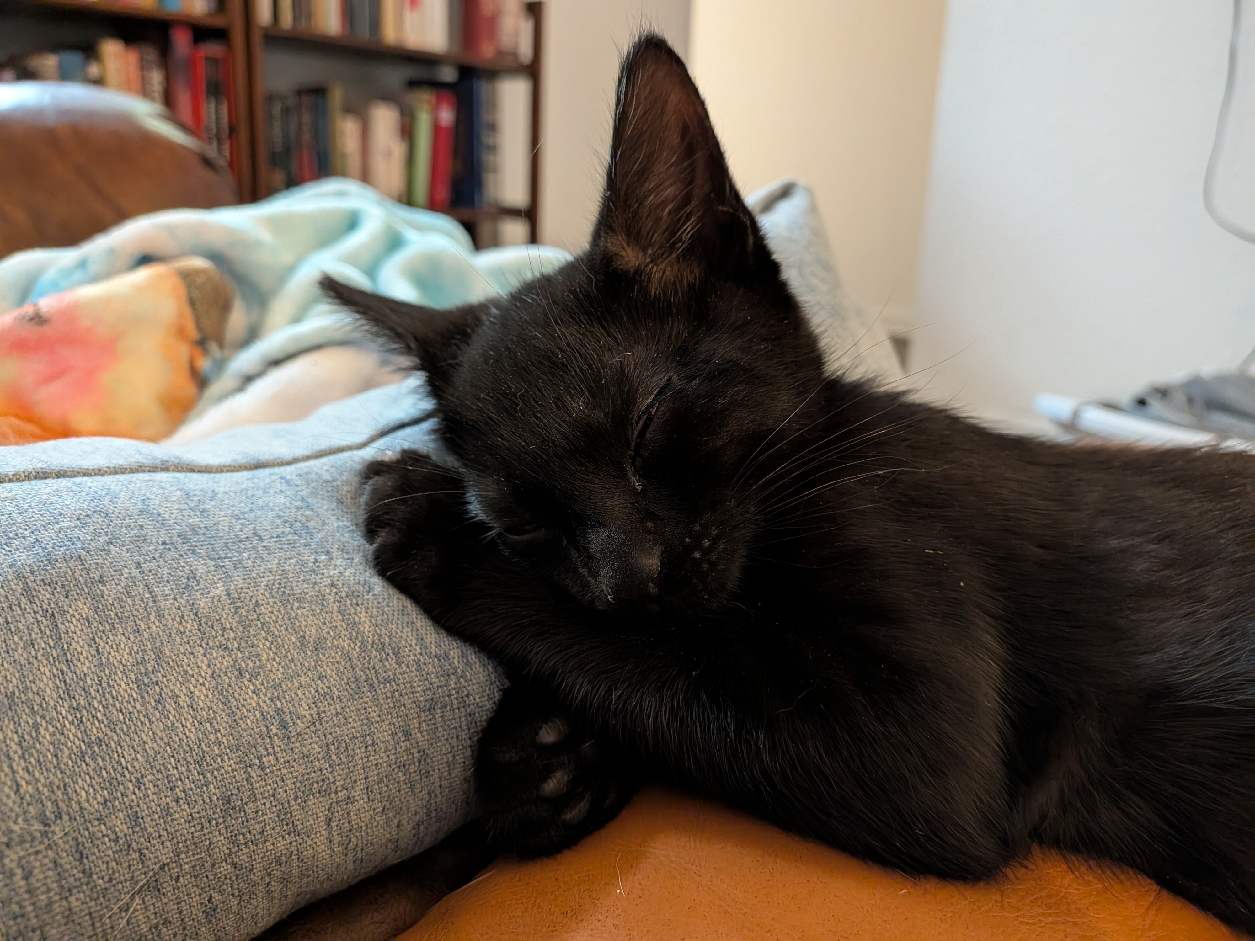 Photos taken with the Google Pixel 10 Pro Fold