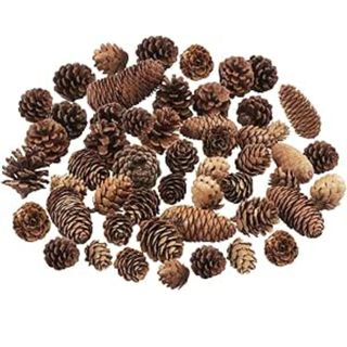 Jangostor Christmas Pine Cones