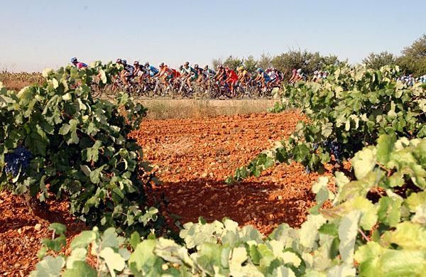 Blue skies and fertile soil make this region of Spain perfect for agriculture
