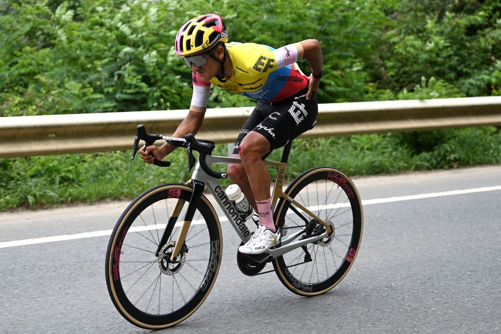 Tour de France abandons the full list of contenders who have left the