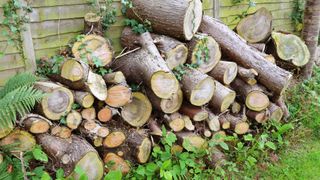 Log pile