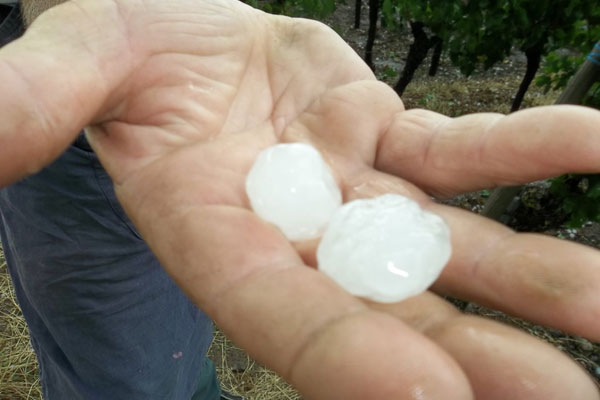 Alsace hailstones