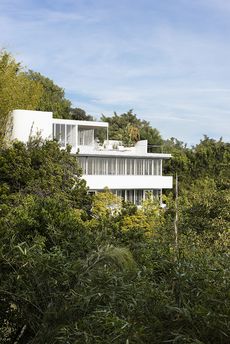 View of white finish house within the trees