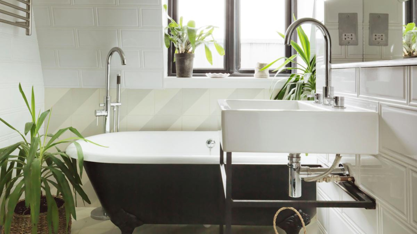 How to get rid of water bugs