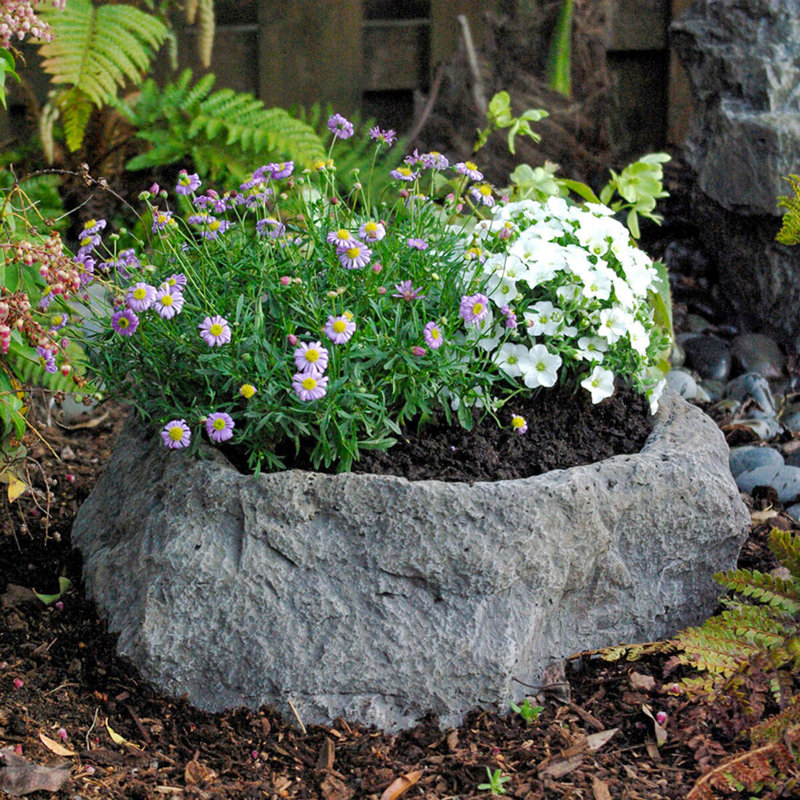 Millwood Pines Domoni Plant Stand & Reviews | Wayfair