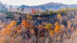 Red River Gorge Kentucky
