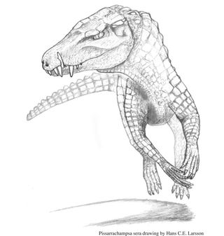 ancient crocodilian drawing