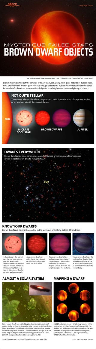 Brown dwarfs are not quite massive enough to ignite nuclear fusion, yet larger than known planets. See how brown dwarfs work in this SPACE.com infographic.