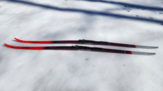 Atomic Redster C9 Carbon Skintec cross country skis