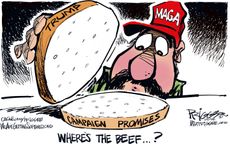 Political Cartoon