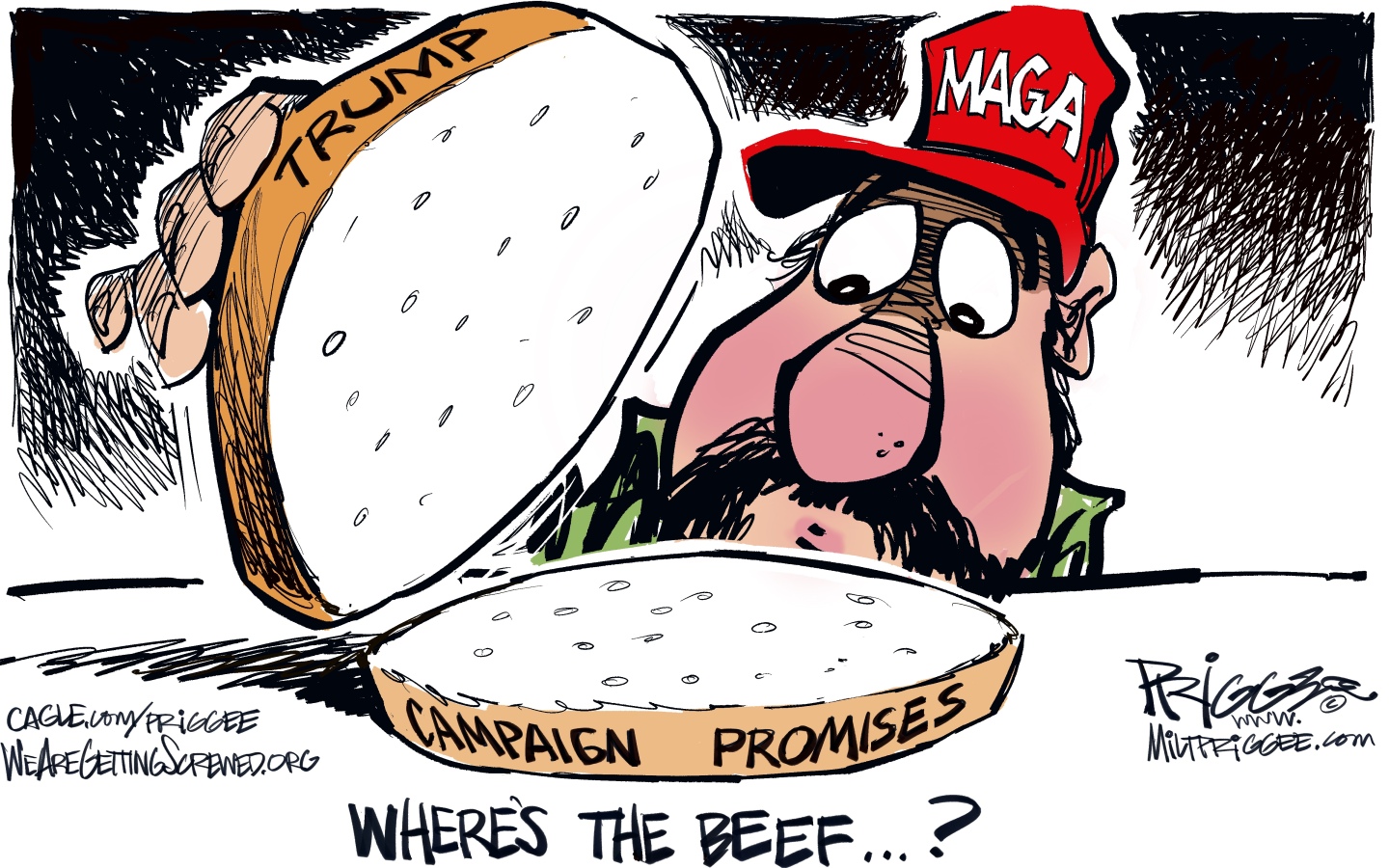 Political Cartoon