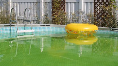 pool with algae and inflatable ring