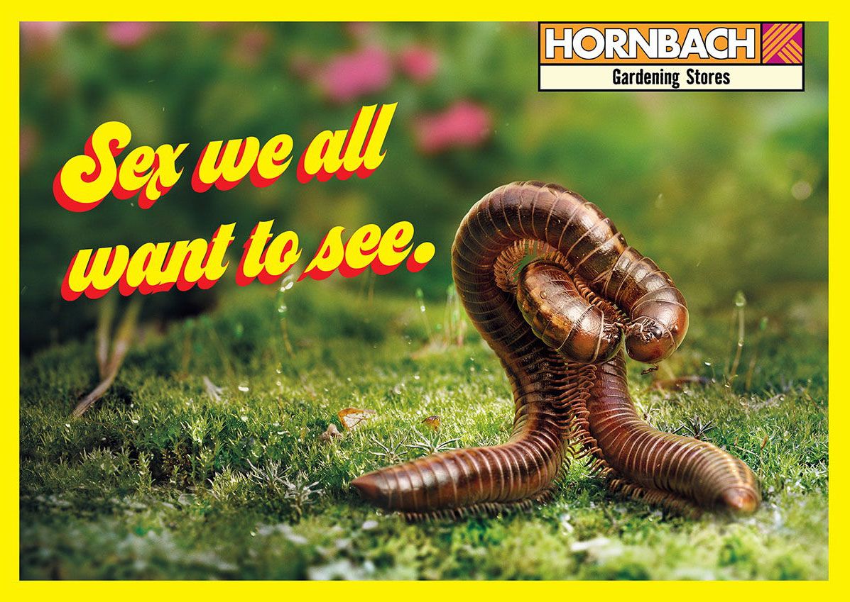 Hornbach insect porn ad