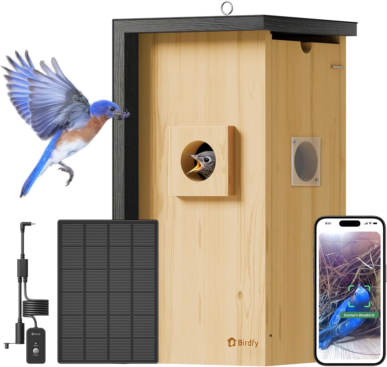 Birdfy Bird House With Camera Solar Powered With Iron Guard for Outside, Ai Identify, 1080p Hd &amp;amp; Night Vision for Bluebird Finch Swallow Wren Chickadee Nesting Watching, Auto Detect &amp;amp; Notify