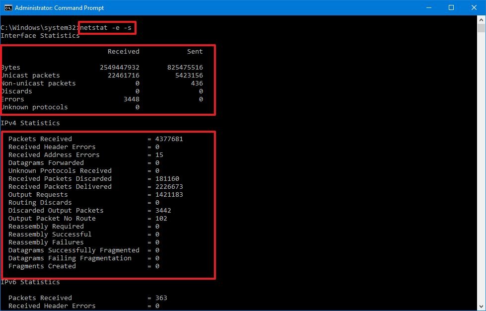 Netstat -es command