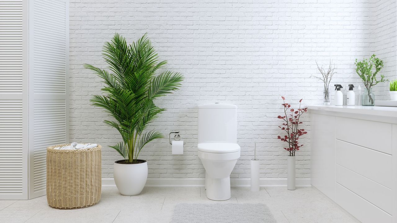 a white minimalistic bathroom