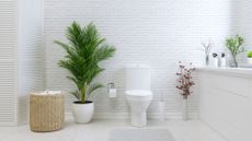 a white minimalistic bathroom