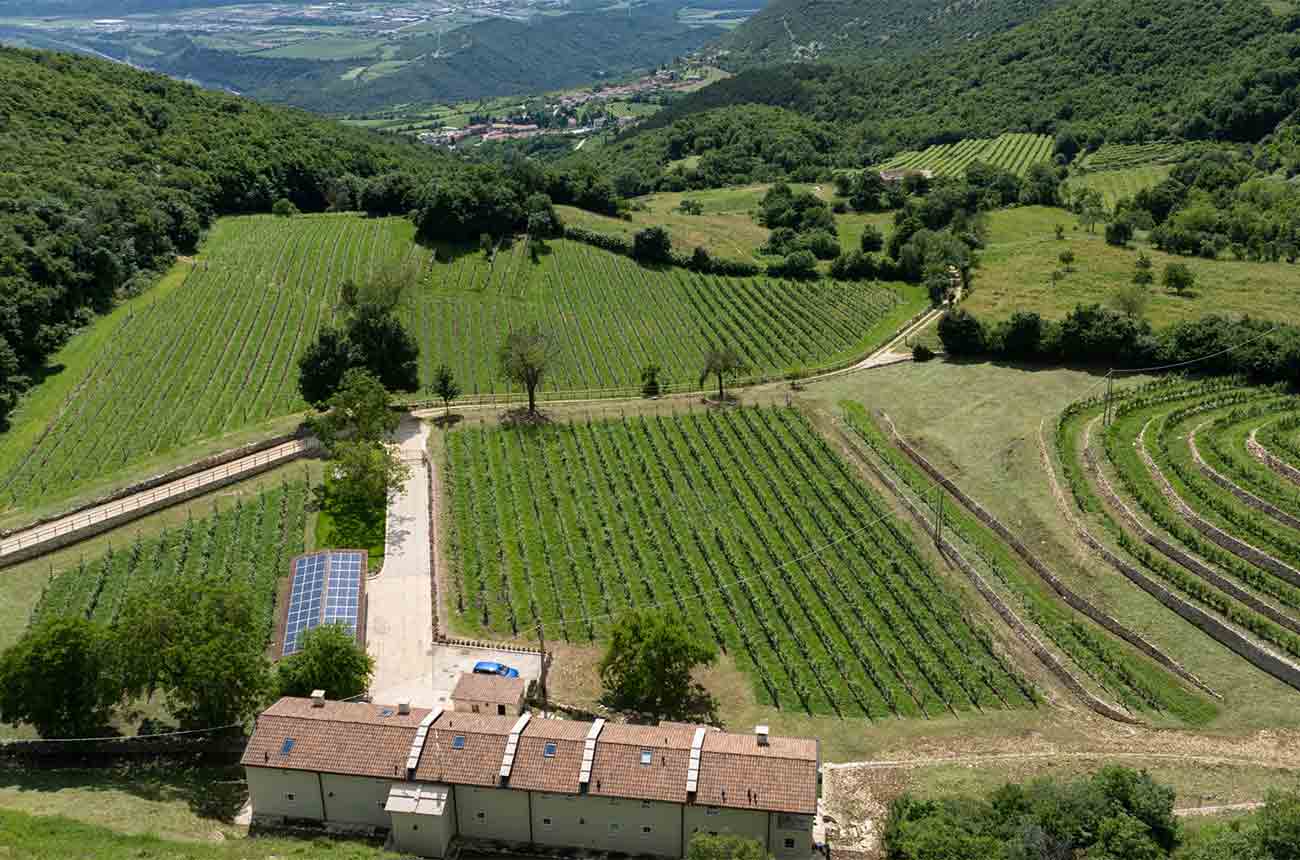Tinazzi winery and vineyards in the comune of Sant&rsquo;Ambrogio di Valpolicella