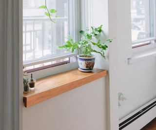 Window with wooden shelf and three small plant pots of varying sizes