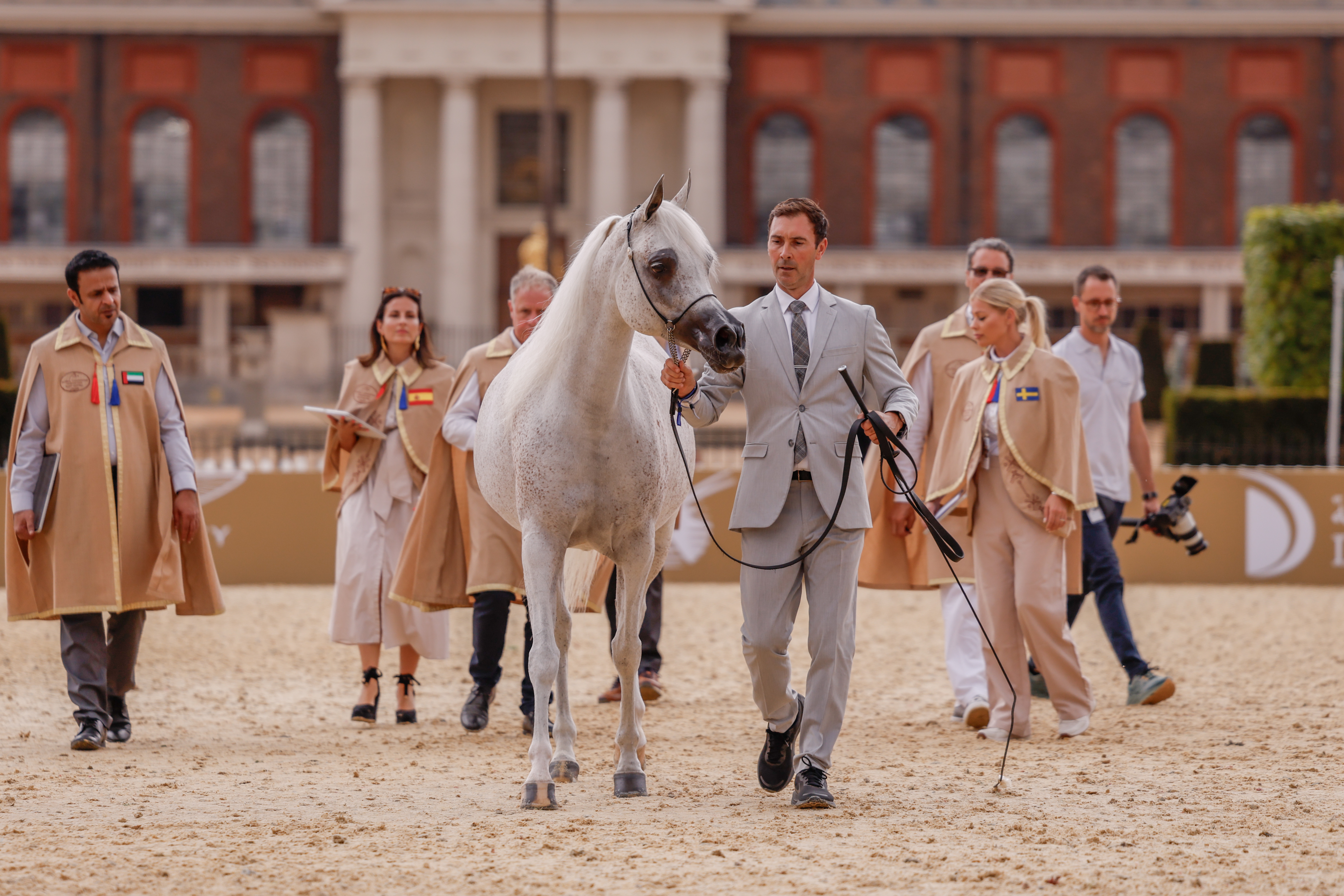 Grey Arabian Nadira is assessed by the judges at Global Champions Arabians Tour 2026