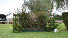 DSC_0675.jpg