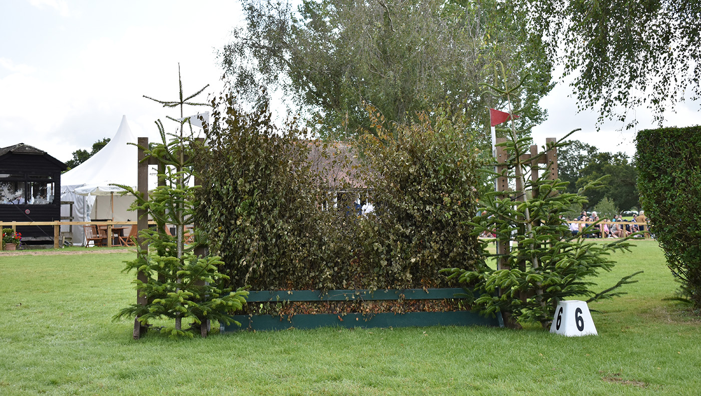 DSC_0675.jpg