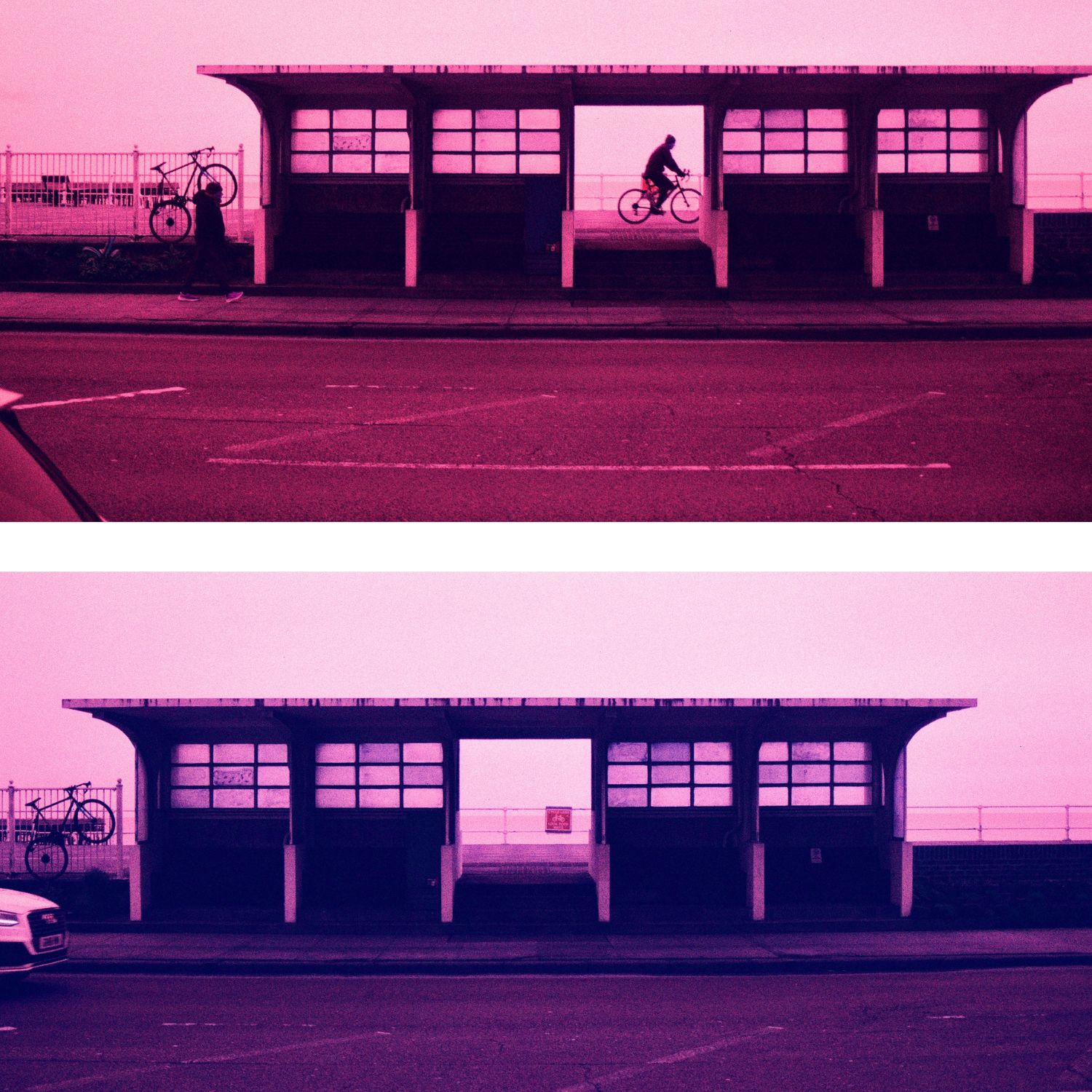 Two sample images of Harman Switch Azure, showing dramatically different pink and purple hues