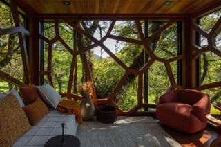 inside a brazilian treehouse looking out