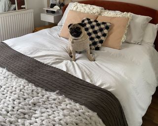 Best bedding set from Beddable with Doug the Pug in