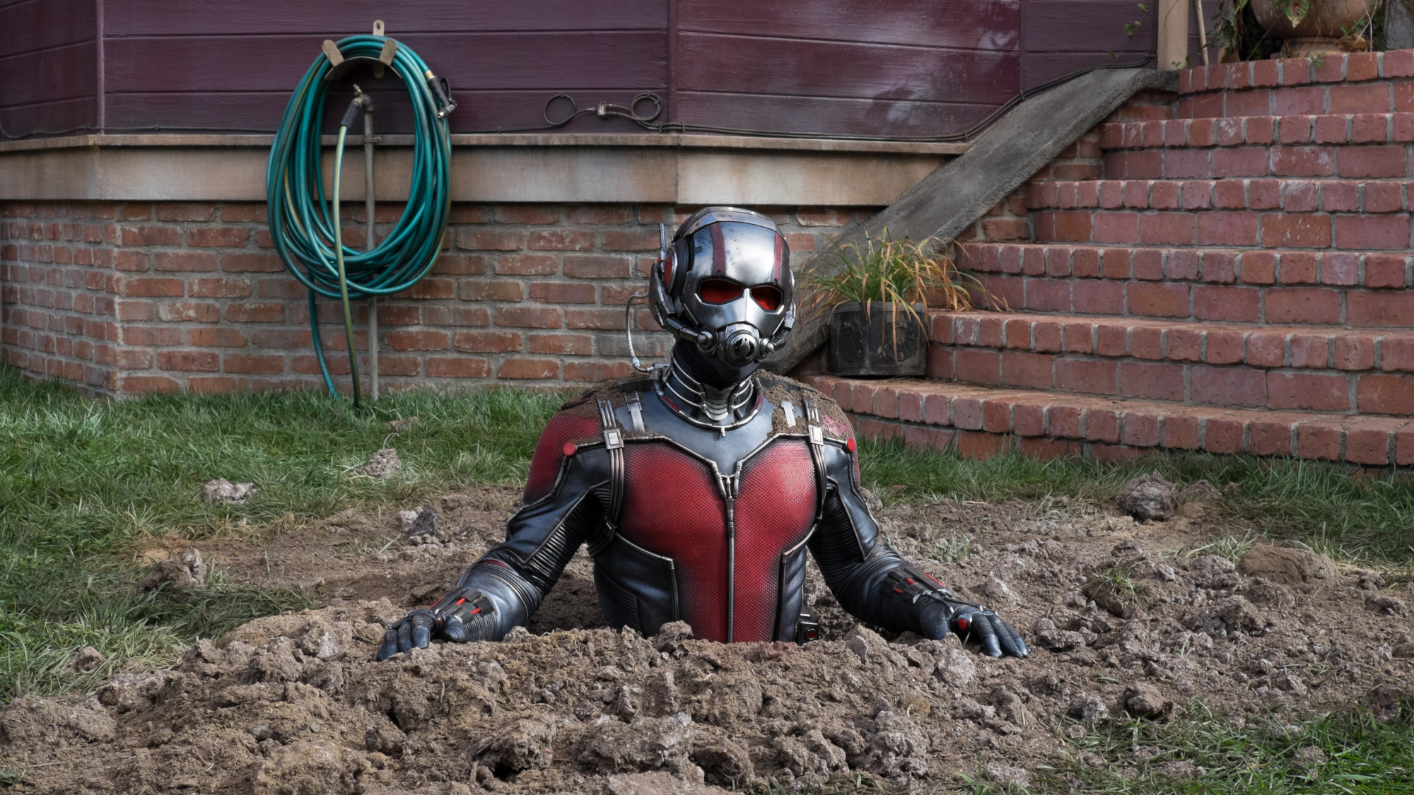 Scott Lang (Paul Rudd) pops out of the ground in Ant-Man.