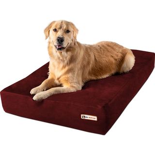 Big Barker Orthopedic Dog Bed