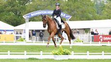 Daisy Berkeley rides a chestnut horse in trot in the grass Badminton Horse Trials dressage arena with the arena entry sign behind her.