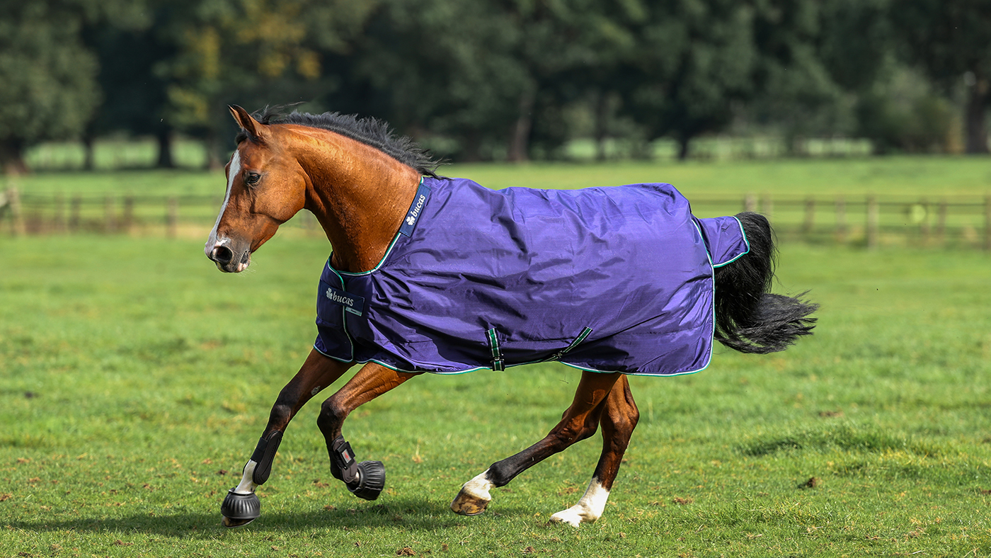 Bucas Smartex turnout rug