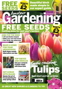 Subscribe to Amateur Gardening