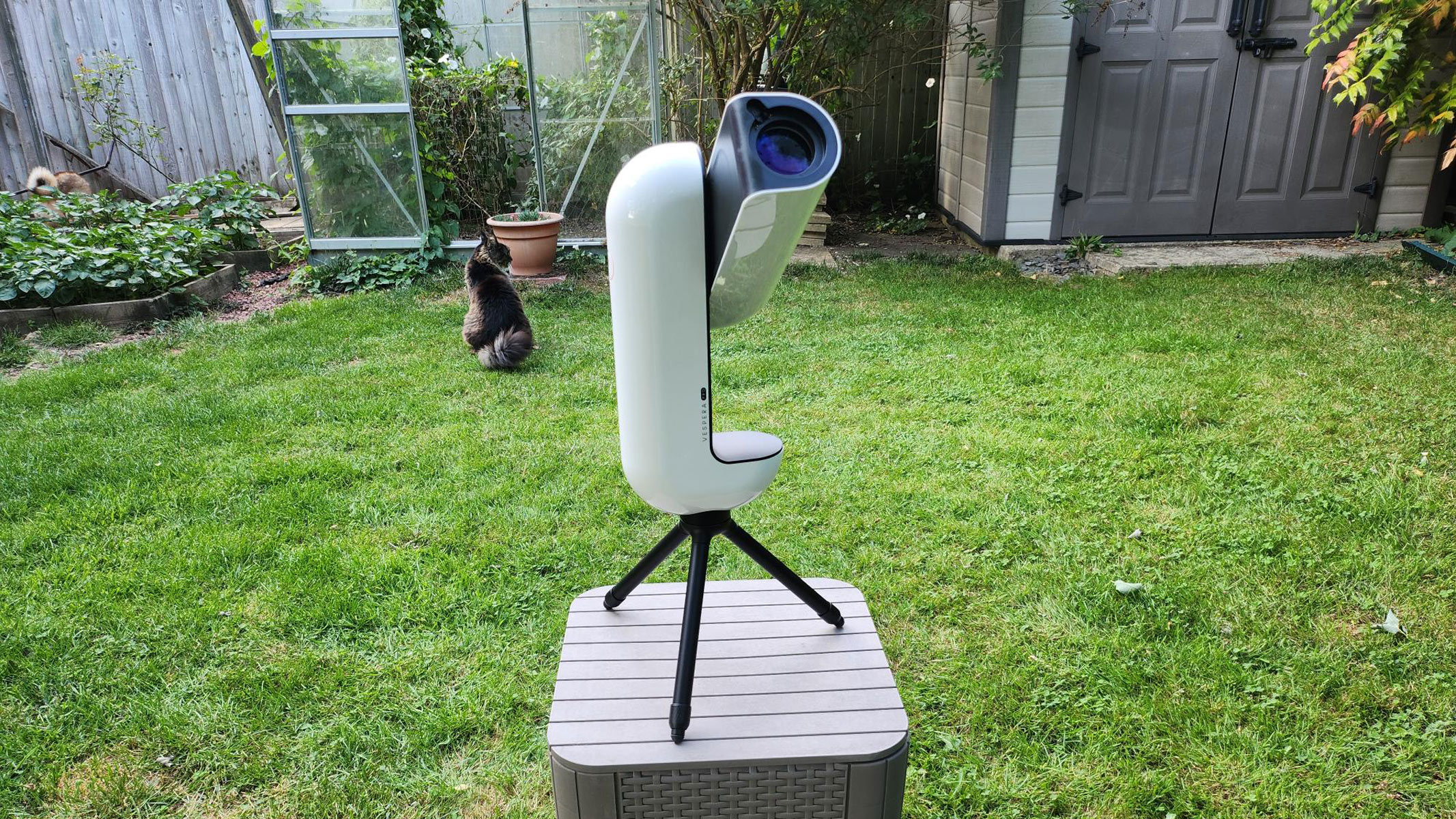 The Vaonis Vespera Pro pointed upwards in a backyard with a cat in the background.