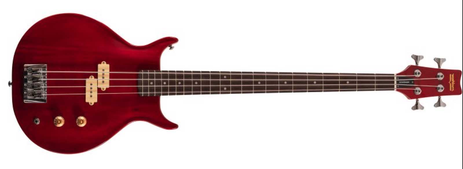 Washburn Scavenger