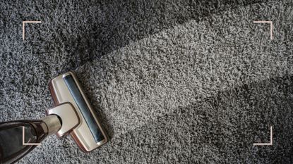 person demonstrating how to clean a carpet on a grey carpet