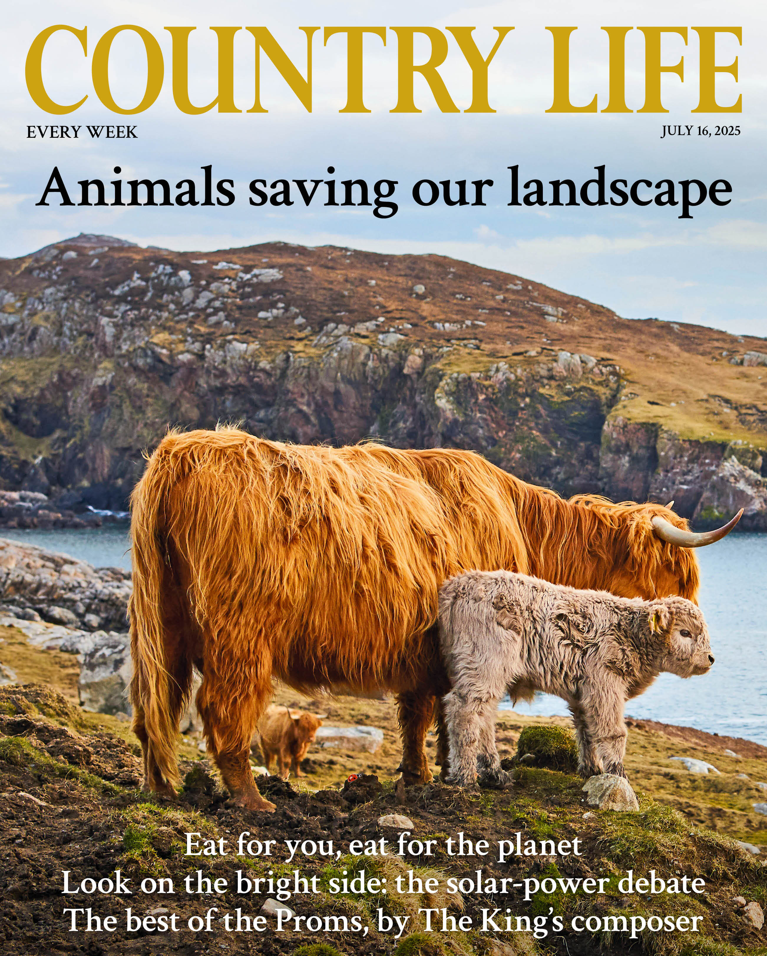 Cover of Country Life 16 July 2025