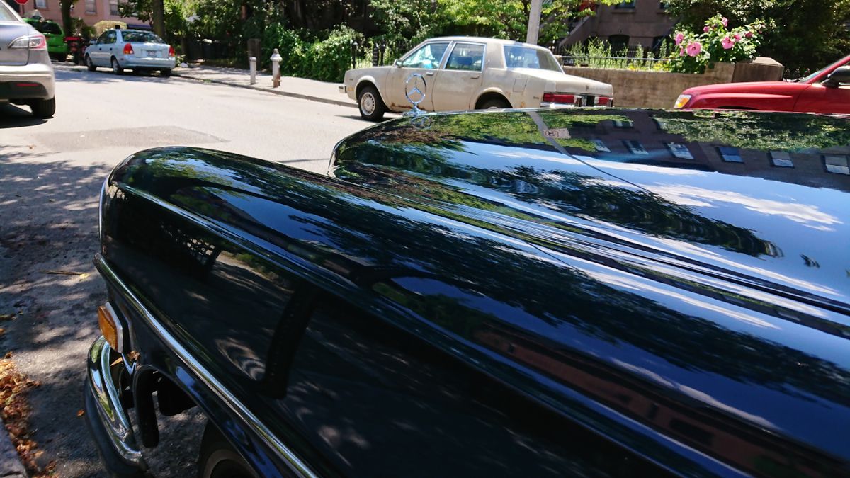Plenty of color and focus in this one. The rich dark blue color of the car is balanced nicely with the highlights. However, zooming in reveals tons of processing blur and artifacts surrounding the subject.